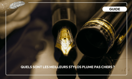 Avis des stylos-plume Marksman