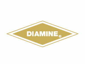 Les meilleures encres de la marque Diamine
